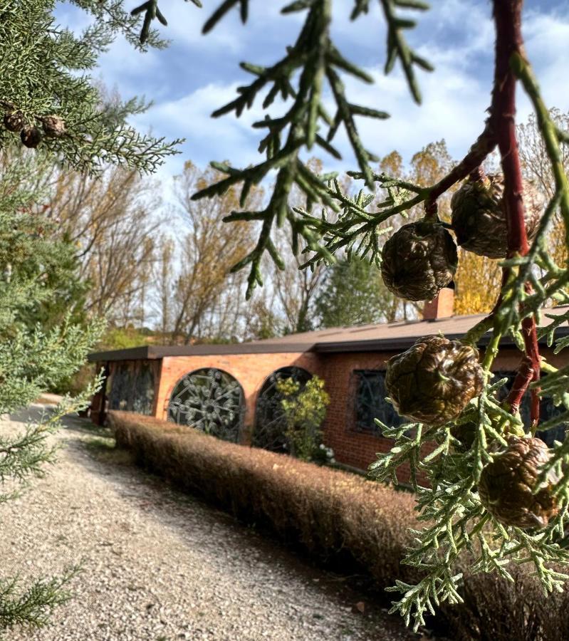 Finca Paraiso Rural El Burgo De Osma Extérieur photo