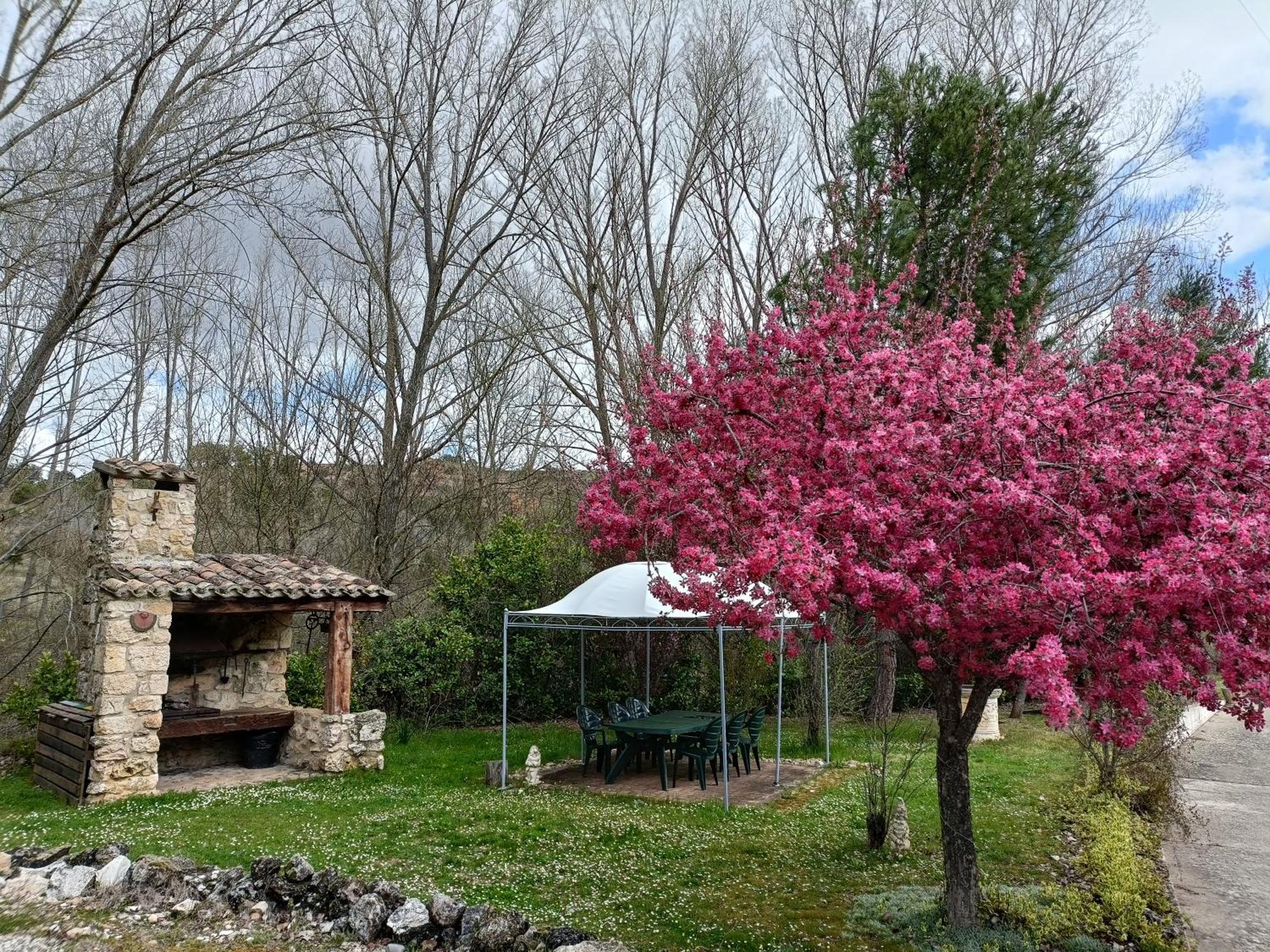 Finca Paraiso Rural El Burgo De Osma Extérieur photo